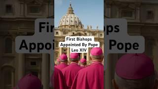 Five of The First Bishops Appointed By Pope Leo XIV