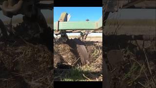 Working some wheat stubble pre soybean harvest #farm #farmlife #farmequipment #tractor #fall