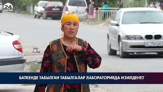 Баткенде табылган археологиялык табылгалар лабораториялык изилдөөгө жиберилет