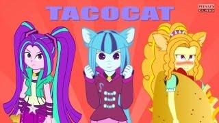 The Dazzlings TACOCAT  | Animation |