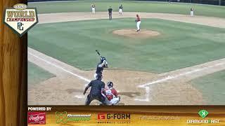 Francois Castillo (RHP, Reds Midwest Scout Team)
