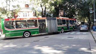 Línea 59 coche 66! (Metalpar Iguazú II MB O500UA) 16-3-22