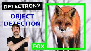 Train custom object detector with Detectron2 | Computer vision tutorial