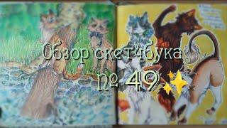 ~Обзор скетчбука №49/Коты-воители/заказы/мои персонажи