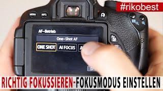 Richtig Fokussieren lernen - welchen Fokusmodus muss ich einstellen - Einfach Fotografieren lernen