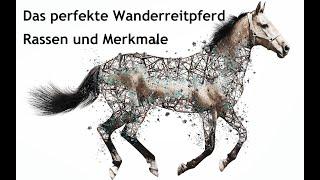 Wie finde ich das perfekte Wanderreitpferd?  Rassen und Merkmale | Wanderreiten