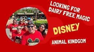 Unforgettable Adventure: First Time Exploring Animal Kingdom!