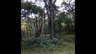 Black Packing the Appalachian Trail
