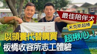 板橋收容所志工體驗，看看這些超可愛的孩子快來帶回家吧。