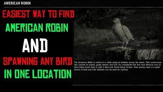 American robin location rdr2 | and all bird in one location