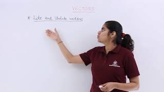 Class 12th –  Like & Unlike Vectors | Vector Algebra | Tutorials Point