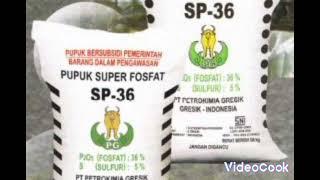 Pupuk SP – 36 (Non Subsidi)