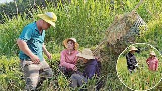 The doctor got into trouble the first time he went to help his father-in-law harvest rice