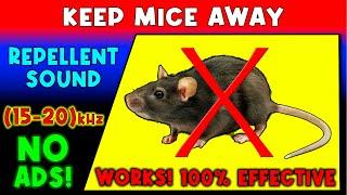 ANTI MICE REPELLENT SOUND  KEEP MICE AWAY - ULTRASONIC SOUND