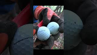 These New Golf Ball Retrievers are CRAZY!