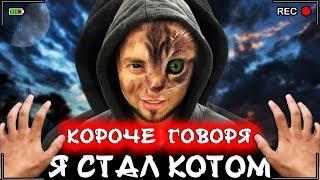 КОРОЧЕ ГОВОРЯ, Я СТАЛ КОТОМ [От первого лица] Я бездомный котенок