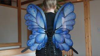 Blue Fairy Wings Timelapse