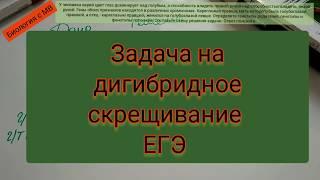 Задача на дигибридное скрещивание. ЕГЭ.