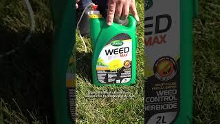 HOW TO CONTROL WEEDS IN YOUR LAWN  #frankieflowers #fallgarden