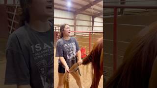 Beginner Vs Experienced Horse Owners!  #shorts #animals