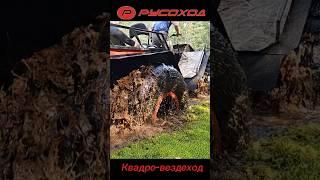 Вкуснятина на болоте! Отведайте с нами;) Квадро-Русоход #русоход #квадропереломка #снегоболотоход