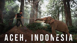 Aceh Indonesia - Menarik BANGAT Budaya Aceh! Tidur dengan GAJAH!