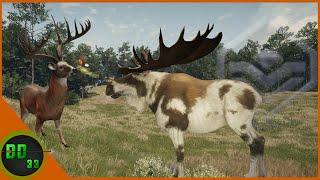 The Bow Hunting Double Of A Lifetime! Call Of The Wild