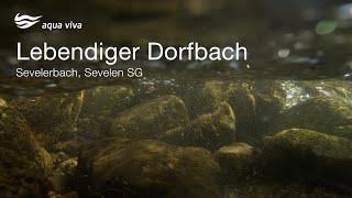 Lebendiger Dorfbach: Revitalisierung Sevelerbach in Sevelen SG