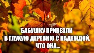 Крошечную бабушку привезли в глухую деревню с надеждой, что она...