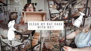 clean my RAT CAGE with me! 