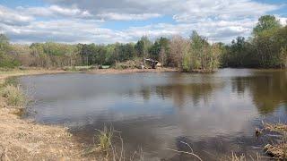 Draining The Swamp And Shoreline Cleanup!