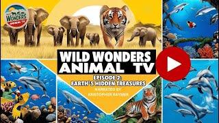 Wild Wonders Animal TV - Episode 2 - Earths Hidden Treasures