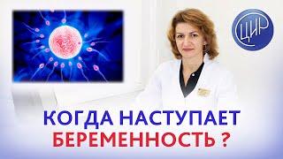 Овуляция и оплодотворение. Когда наступает беременность после овуляции? Дементьева С.Н.