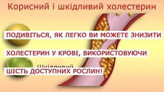 Подивіться, як легко ви можете знизити холестерин у крові, використовуючи шість доступних рослин