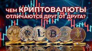 Чем отличаются СТЕЙБЛКОИН,  ТОКЕН,  АЛЬТКОИН, БИТКОИН?