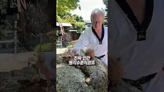 태권도 블랙벨트 70살 손날치기 ㄷㄷ