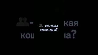 {{кто такая кошка лана?}}#ИДЕЯМОЯ#врек#улей #кошкалана#ЭДИТДЛЯ КОШКИЛАНЫ#кошкалана #edit#mondarinka0