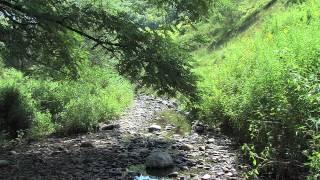 VYCC – Watershed Restoration Projects | Outdoor Journal | Season 13