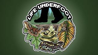 Life Underfoot Channel Trailer