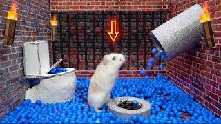 Hamster: The Last Airbender  Prison Escape