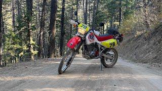 XR650L Build and Honest Review | THE KING OF BAJA or THE ULTIMATE ENDURO?