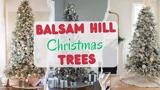 9 Best Balsam Hill Christmas Trees 2025