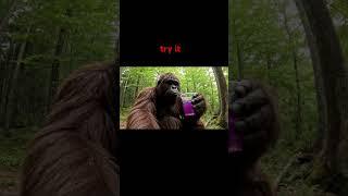 Follow these funny animal blogs