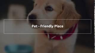 【Toronto Maker】 Toronto's Pet-Friendly Places - Toronto Local Lifestyle Pets Entertainment