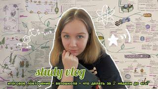 study vlog // готовлюсь к егэ 2023 / как подготовиться к егэ за месяц