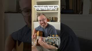 Blackbird never get old. I love it and people love it too!