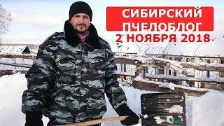 одних в зимовник других под снег/зимовка пчел в помещении и под снегом