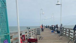 𝐀𝐝𝐯𝐞𝐧𝐭𝐮𝐫𝐞𝐬 𝐰𝐢𝐭 𝐈 𝐏𝐚𝐭𝐭𝐚 is live! Fishing the pier