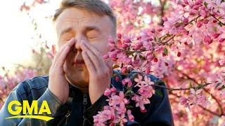 Climate change is worsening allergy season: Report