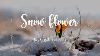 Snow Flower by V (feat. Peakboy) [English Lyrics]